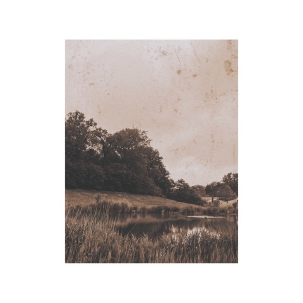 Professional Photography Print